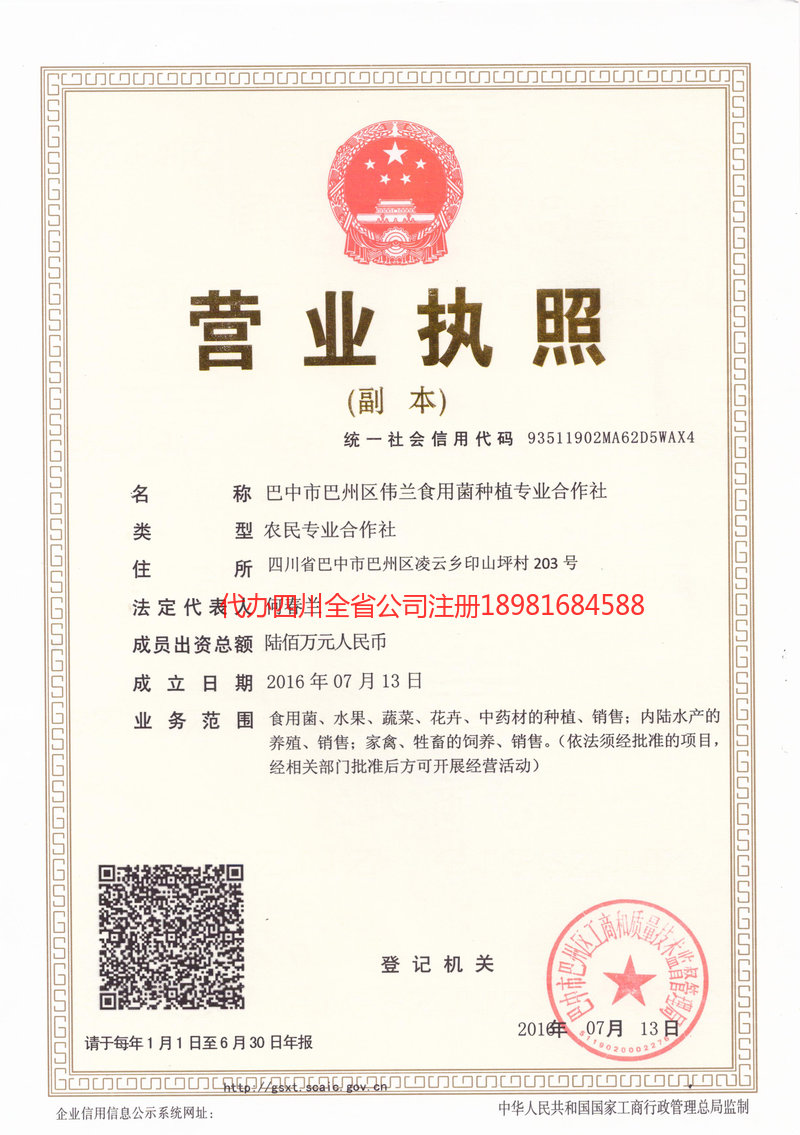 河南河南伟兰食用菌种植专业合作社